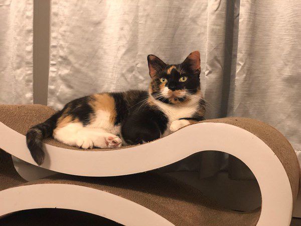 Jersey's Glamor Shot
